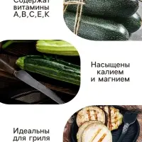 Семена Кабачок белоплодный &laquo;Грибовские 37&raquo;, 8 шт., &laquo;Аэлита&raquo;