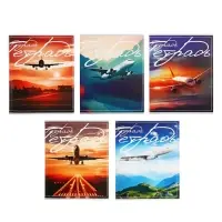 Тетрадь 48 листов в клетку Calligrata «Самолеты», обложка мелованный картон, блок №2, белизна 75% (серые листы), МИКС