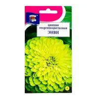 Семена цветов Цинния "Энви", 0,3 г