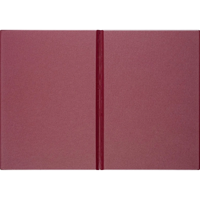 Папка адресная На подпись 2032И-203, ПВХ, бордовая, Россия