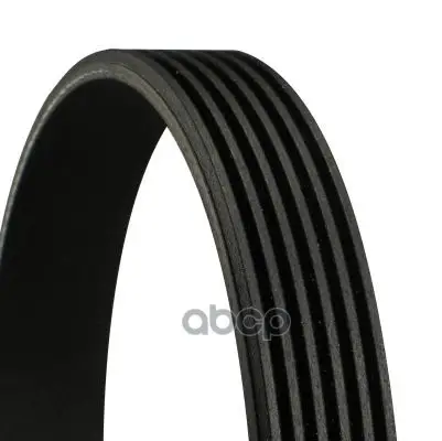 ремень ручейковый contitech Continental арт. 6PK2445