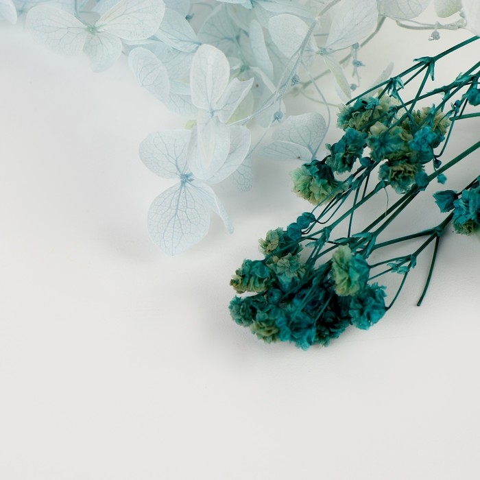 Набор сухоцветов «Северный рассвет» Набор сухоцветов «Северный рассвет»