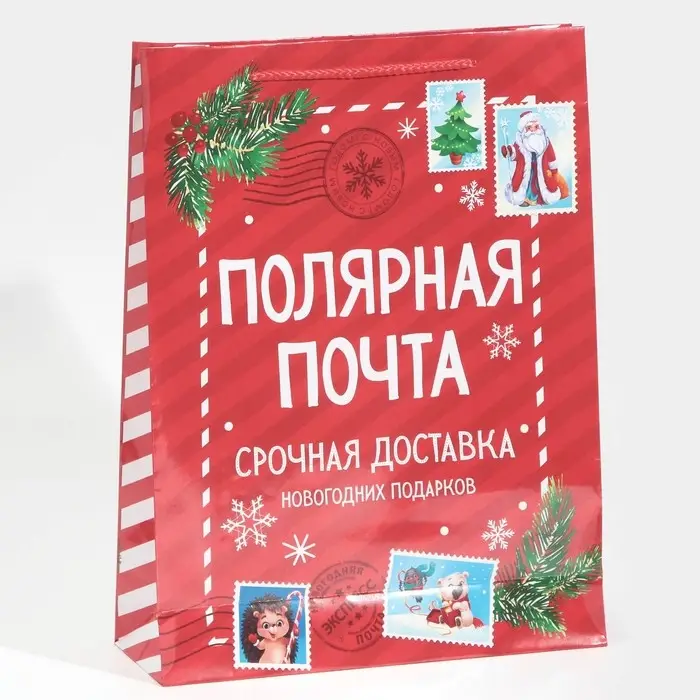 Пакет подарочный новогодний ламинированный «Полярная почта», L 28 х 38 х 9 см Пакет подарочный новогодний ламинированный «Полярная почта», L 28 х 38 х 9 см