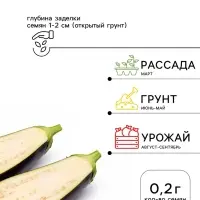 Семена Баклажан &laquo;Принц&raquo;, 0.2 г, ранний, &laquo;СеДеК&raquo;
