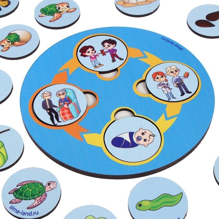 Развивающая игра из дерева «Цикл жизни» Развивающая игра из дерева «Цикл жизни»