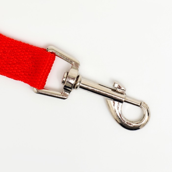Поводок 5 м х 2 см, красный Поводок 5 м х 2 см, красный
