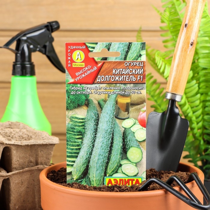 Семена Огурец  Семена Огурец "Китайский долгожитель" F1 партенокарпический, 10 шт