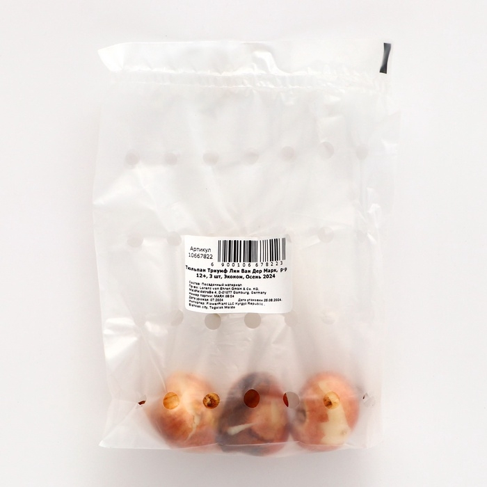 Тюльпан Триумф Лин Ван Дер Марк,  р-р 12+, 3 шт, Эконом, Осень 2024 Тюльпан Триумф Лин Ван Дер Марк,  р-р 12+, 3 шт, Эконом, Осень 2024