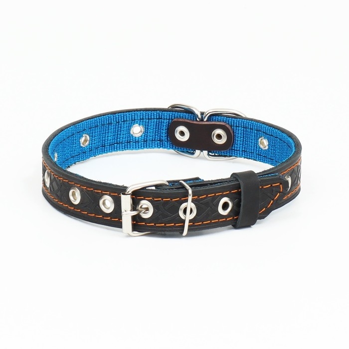 Ошейник кожаный усиленный капроном с полукольцом, 55 х 2,5 см, ОШ 27-53 см, чёрный Ошейник кожаный усиленный капроном с полукольцом, 55 х 2,5 см, ОШ 27-53 см, чёрный