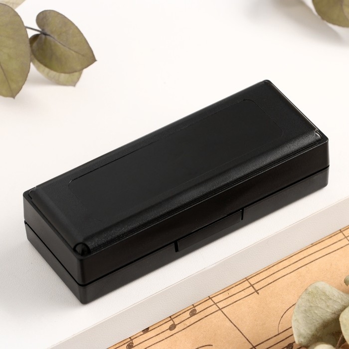 Губная гармошка Music Life T003 C диатоническая, 10 отверстий, с футляром, синяя Губная гармошка Music Life T003 C диатоническая, 10 отверстий, с футляром, синяя