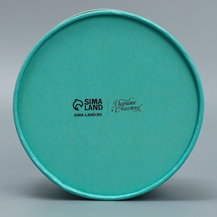 Коробка подарочная, упаковка, «Мята», 13 х 9 см Коробка подарочная, упаковка, «Мята», 13 х 9 см