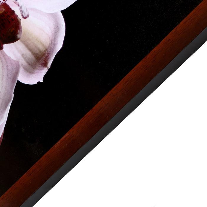 Картина  Картина "Цветы на камнях" 67х107 см рамка микс