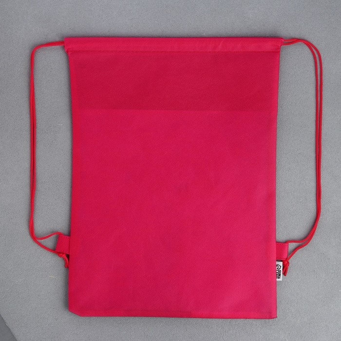 Мешок для обуви «Аниме девушка» полиэстер, размер 30 х 40 см Мешок для обуви «Аниме девушка» полиэстер, размер 30 х 40 см