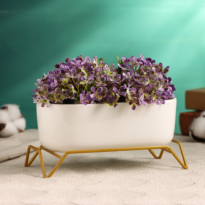 Горшок на подставке Горшок на подставке "Бонсайница" для кактусов и суккулентов, 17х8,5х5см