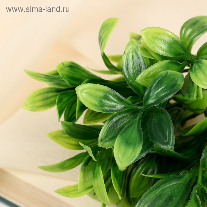 Букет  Букет "Листовик" 25 см, микс