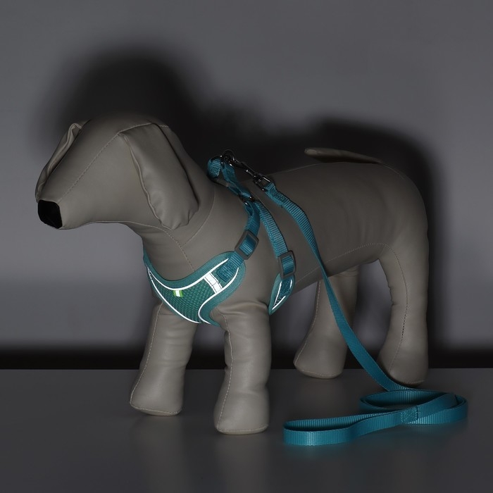 Комплект с мягкой шлейкой, быстросъемный, L, поводок 140 см, ОШ 49-56 см, ОГ 56-68 см, бирюзовый Комплект с мягкой шлейкой, быстросъемный, L, поводок 140 см, ОШ 49-56 см, ОГ 56-68 см, бирюзовый