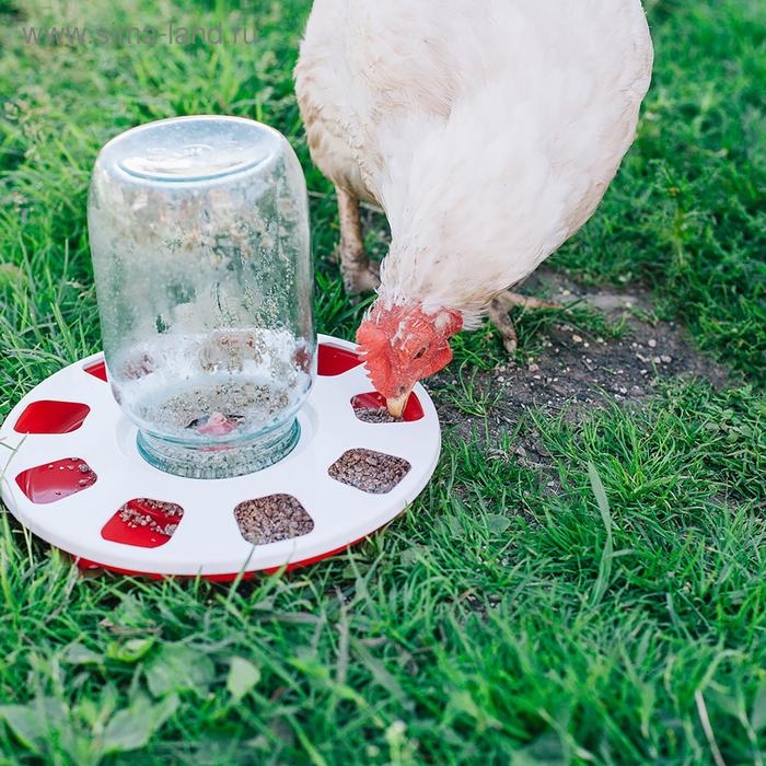 Поилка для домашней птицы, под банку и бутылку, d = 220 мм, МИКС Поилка для домашней птицы, под банку и бутылку, d = 220 мм, МИКС