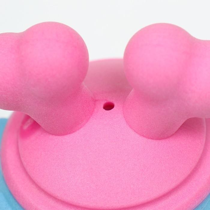 Игрушка для собак Игрушка для собак "Гиря", TPR, 11 см, голубая/розовая