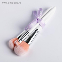 Подарочный набор «С 8 Марта», кисти для макияжа 4 шт и расческа, BEAUTY FOX
