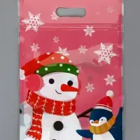 Пакет подарочный, с zip-lock застежкой, "Друзья дедушки Мороза", 15х22см МИКС Пакет подарочный, с zip-lock застежкой, "Друзья дедушки Мороза", 15х22см МИКС