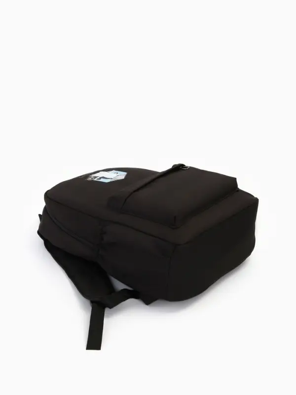 Рюкзак школьный на молнии, с карманами, с принтом, размер 30&times;12&times;43 см, чёрный