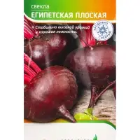 Семена Свекла "Египетская плоская" 2 г Семена Свекла "Египетская плоская" 2 г