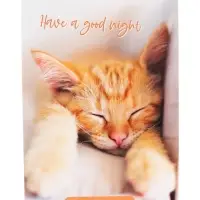 Набор блокнотов А6 40л кл на скобе Сладкий сон, мел карт, бл офс, 4В 20шт