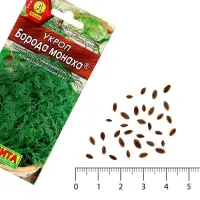 Семена Укроп &laquo;Борода монаха&raquo;, 3 г, &laquo;Агрофирма АЭЛИТА&raquo;