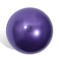 Мяч для художественной гимнастики Металлик, диаметр 19см, цвет фиолетовый Мяч для художественной гимнастики Металлик, диаметр 19см, цвет фиолетовый