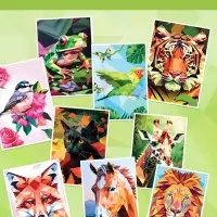 Книга &laquo;Рисуем наклейками по номерам. Создай свой шедевр!&raquo;