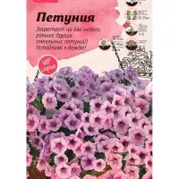 Семена цветов Петуния "Шок Вэйв Пинк вейн F1", 5 шт