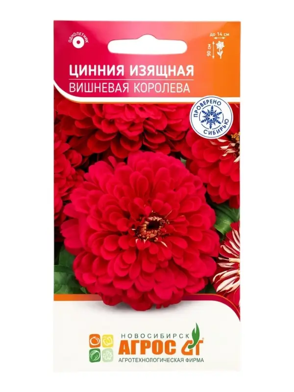 Семена Цинния &laquo;Изящная Вишневая Королева&raquo;, 0.5 г, &laquo;Агрос&raquo;