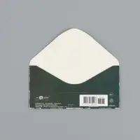 Конверт для денег &laquo;С днём рождения&raquo;, белые цветы, 16,5 х 8 см