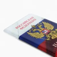 Обложка для паспорта, с рисунком, триколор