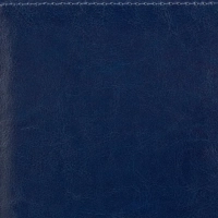 Ежедневник датированный 2026, синий, А5, 148x218 мм, 352 стр,АТТАСНЕ Agenda