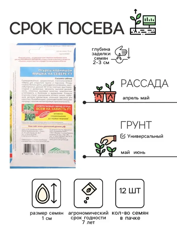 Семена Огурец Семена Огурец "Мишка на Севере", корнишон, F1, 12 шт