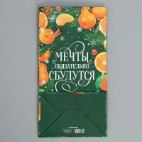 Пакет без ручек «Мечты обязательно сбудутся», мандарины, 10 х 19.5 х 7 см, Новый год
