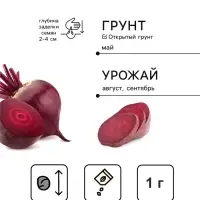 Семена Свекла столовая &laquo;Пабло&raquo;, F1, 1 г