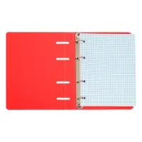Тетрадь на кольцах Calligrata А5, 120 листов, в клетку, пластиковая обложка, блок офсет, красная
