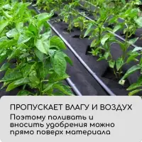 Материал мульчирующий, с перфорацией (4 ряда), 20&times;1.6 м, плотность 80 г/м&sup2;, спанбонд с УФ-стабилизатором, чёрный, Greengo, Эконом 30%