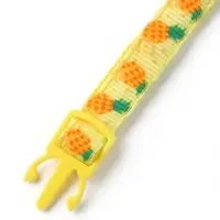 Набор ошейников для кошек &laquo;Пижон. Фрукты&raquo;, 19-32&times;1 см, 4 шт.