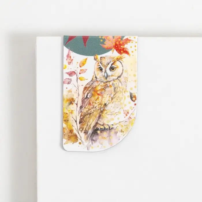 Магнитные закладки для книг, 4 шт. «Дорогому учителю»