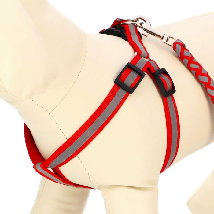 Комплект  Комплект "Плетенка", флуоресцентный, поводок 115 х 1 см, ОГ 32-48 х 1,5 см, красный