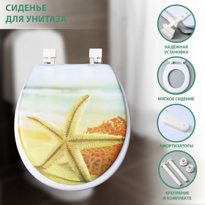 Сиденье для унитаза с крышкой Доляна «Пляж со звездой», 40×37 см, мягкое Сиденье для унитаза с крышкой Доляна «Пляж со звездой», 40×37 см, мягкое