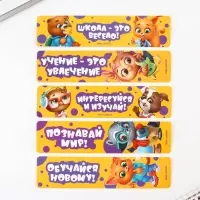 Набор первоклассника 43 предмета &laquo;Предметы&raquo;