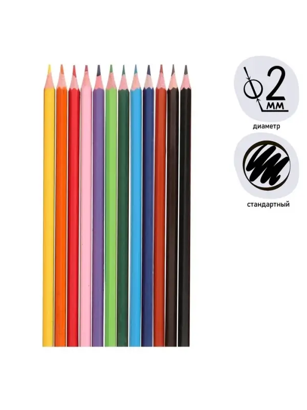 Карандаши Calligrata, цветные 12 цветов, эконом, заточенные, шестигранные, пластиковые