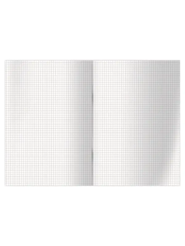 Книга учета, 192 листа, обложка бумвинил, блок газетный, клетка, синяя