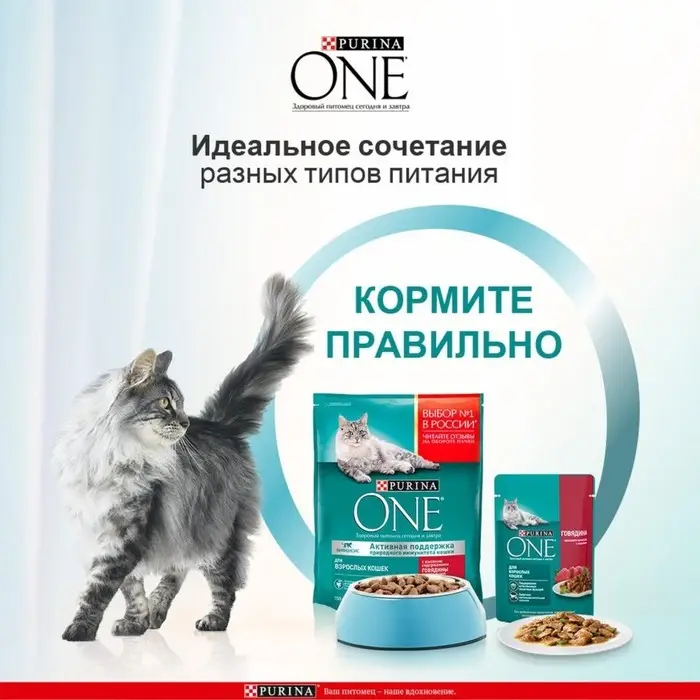 Влажный корм Purinа One для кошек, говядина/морковь, 75 г Влажный корм Purinа One для кошек, говядина/морковь, 75 г