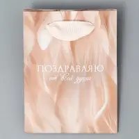 Пакет подарочный ламинированный, упаковка, «Поздравляю», 9 х 12 х 6.5 см