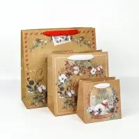 Набор новогодних пакетов &laquo;Верь в чудеса&raquo;